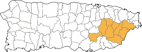 automóviles(img-27)